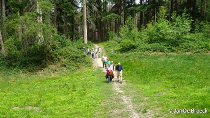 WANDELING ARBORETUM TERVUREN
