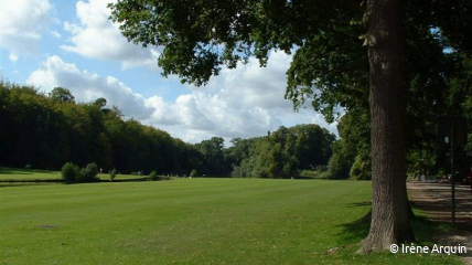 WANDELING ARBORETUM TERVUREN